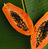 5 manfaat buah pepaya untuk kesehatan pencernaan dan tingkatkan imun tubuh anda