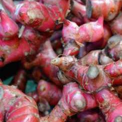 Jahe merah sipedas yang berkhasiat meringankan gejala covid19