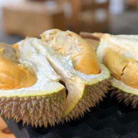 Durian ternyata ada manfaatnya loh