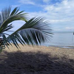 pantai duta wisata probolinggo yang wajib kamu kunjungi